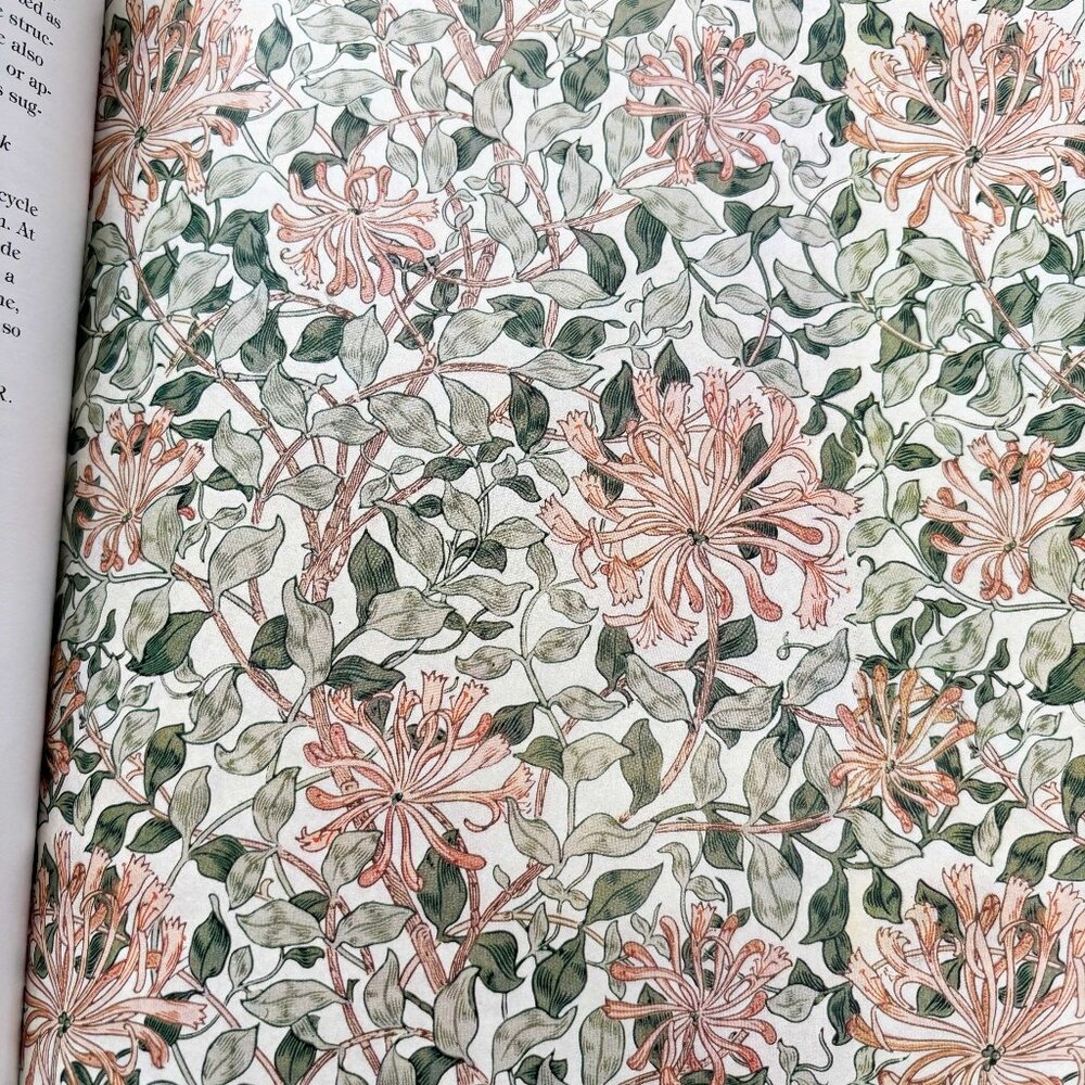 Book: Giftwraps by Artist William Morris - 16 tear out sheets - Picture 6 of 6